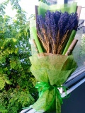 Bó Lavender to giấy xanh kèm lúa mạch 2